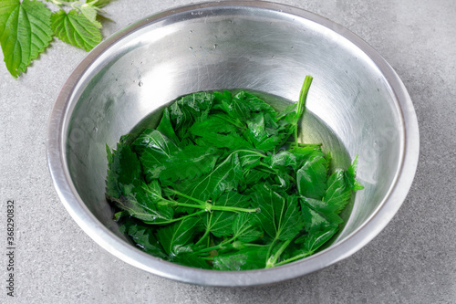 Nettle infusion in a bowl