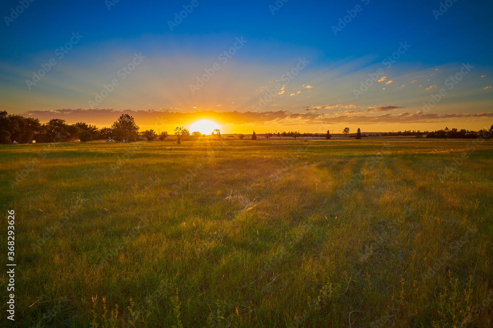 Sunset over a grassy field with sun rays.