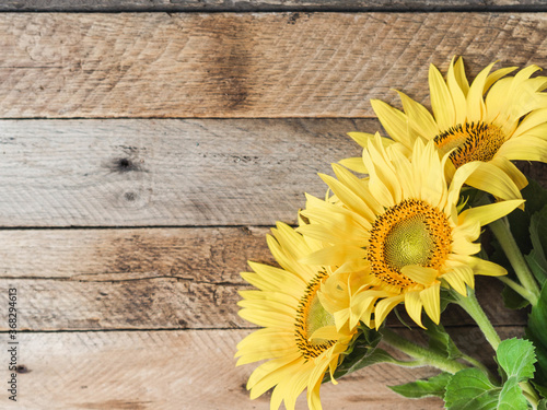 Flat lay of yellow sunflower flowers on a wood rustic background. Top view. Nature, spring and summer concept. copy space