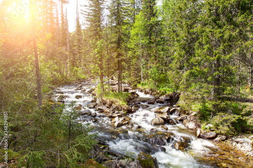 Rays of the sun make their way through thick foliage. Mountain river Zhigalan. North Ural