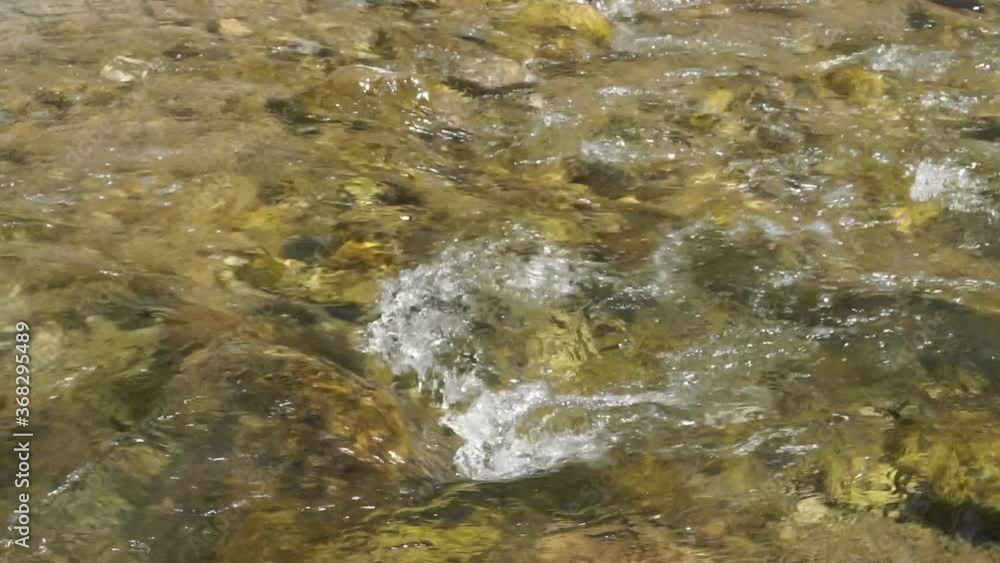 A rapid current of the mountain river. Clean, cold transparent water sparkles in the sun. A rapid current of the mountain river. Clean, cold transparent water sparkles in the sun.