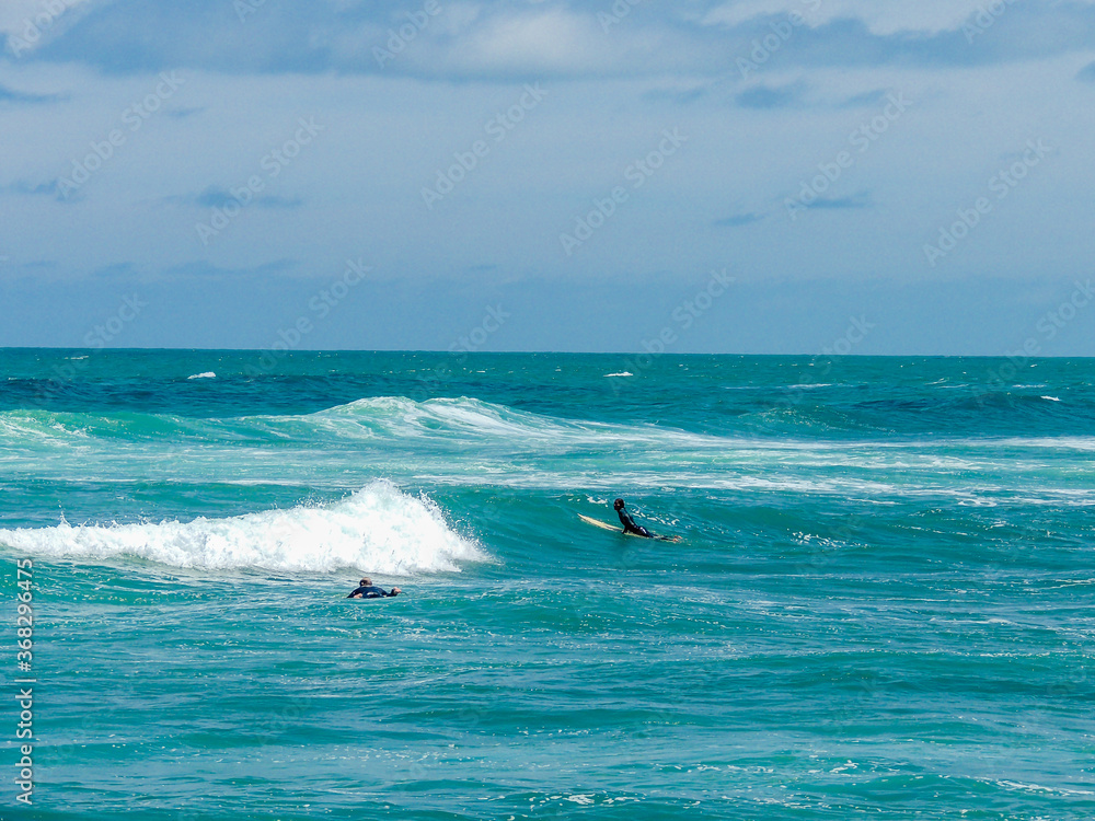 Surfers hitting the waves at Piha Beach, Auckland, New Zealand Surfers hitting the waves at Piha Beach, Auckland, New Zealand