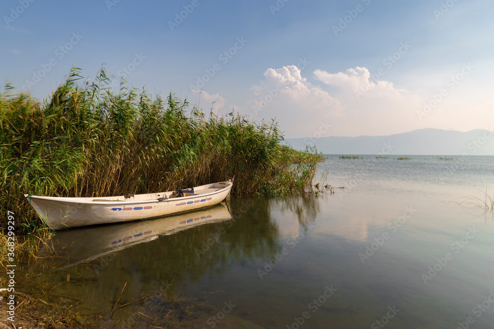 A fishing boat among the reeds. Iznik Lake. Bursa.