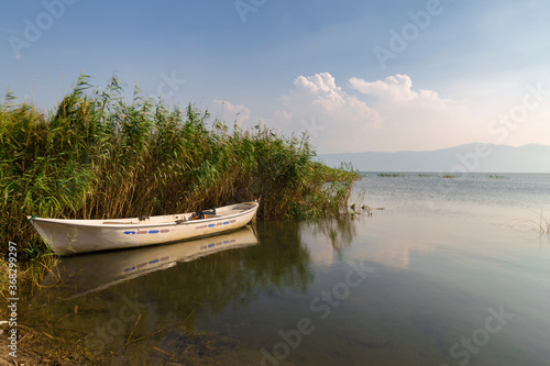 Fototapeta Naklejka Na Ścianę i Meble -  A fishing boat among the reeds. Iznik Lake. Bursa.