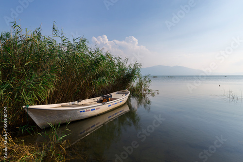 Fototapeta Naklejka Na Ścianę i Meble -  A fishing boat among the reeds. Iznik Lake. Bursa.