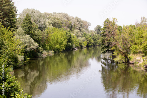 Summer river among green trees