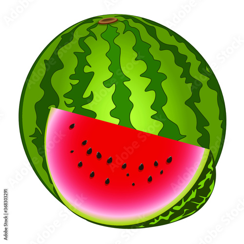 Ripe and juicy watermelon whole and cut. Vector illustration