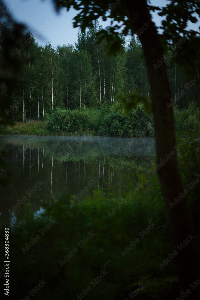 sunset over the lake in forest with fog, reflection of trees in the lake sunset over the lake in forest with fog, reflection of trees in the lake