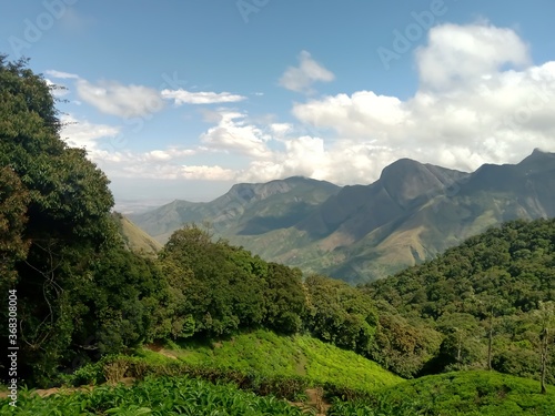 Beautiful landscape of tea plantation in the Indian state of Kerala with selective focus. landscape of the city  Munnar with its tea planatation  valley and Nilgiri mountain ranges.