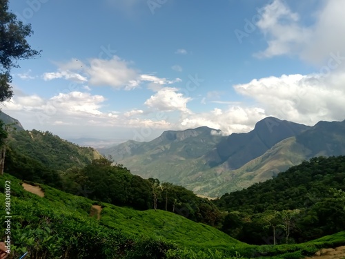 Beautiful landscape of tea plantation in the Indian state of Kerala with selective focus. landscape of the city  Munnar with its tea planatation  valley and Nilgiri mountain ranges.