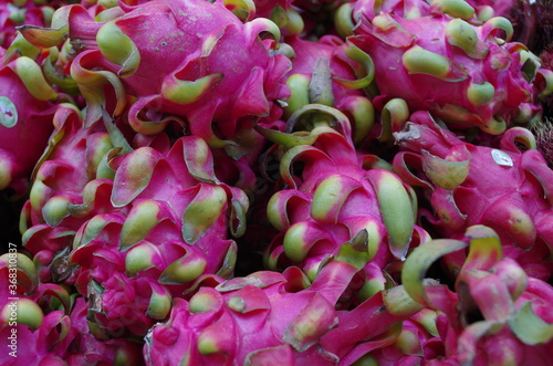 tropical pink dragon fruit market