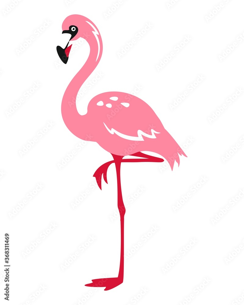 Flamingo - vector illustration isolated on white background. 