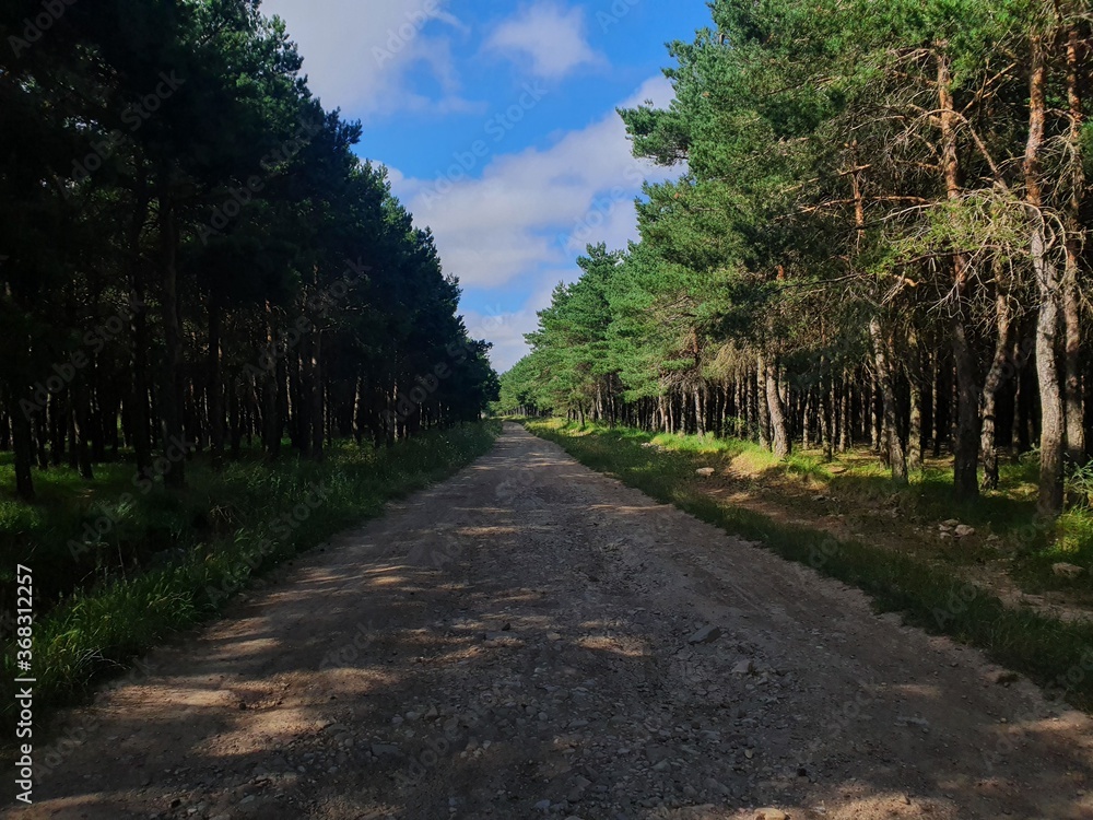 Fototapeta premium montaña