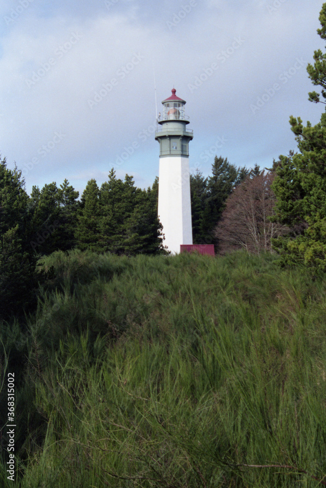 EPSON scanner image Grays Harbor Lighthouse, Washington