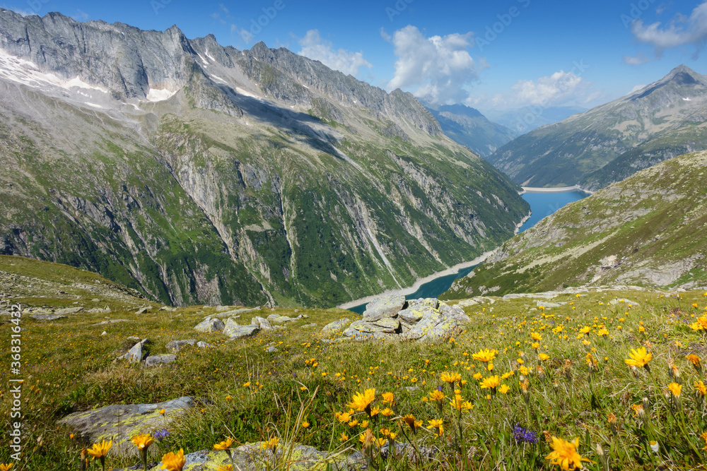 Berglandschaft in Österreich mit Blumenwiese und Bergsee im Hintergrund