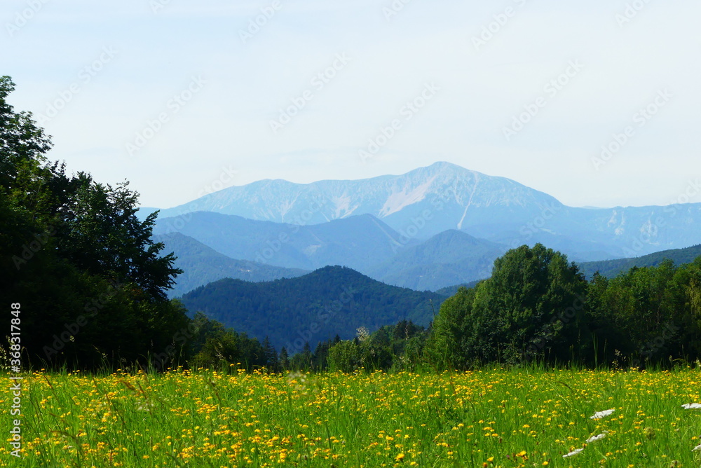 Bergwiese mit Blick auf den Schneeberg