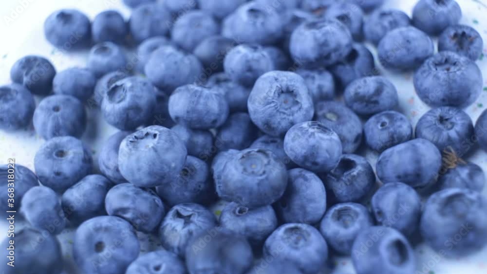 Close-up of ripe juicy blueberries on a white background. Rotation of fresh juicy blueberry close-up. Close-up of ripe juicy blueberries on a white background. Rotation of fresh juicy blueberry close-up.