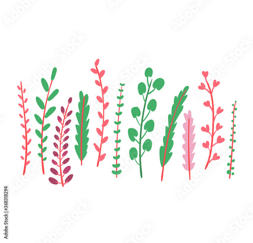 Grass spring blossom grow up isolated on white, flat vector illustration. Green leaf on peduncle stem, fall different weed. Herb plants verdant color, organic outdoor healing greenery.