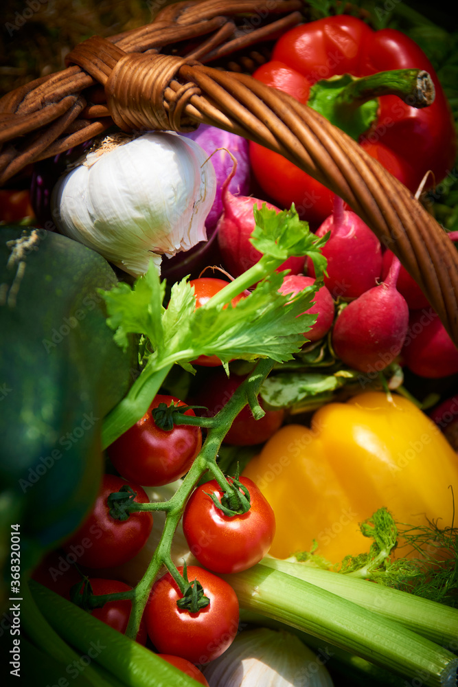 Wicker basket with fresh natural vegetables on a background of green lawn. Selective focus