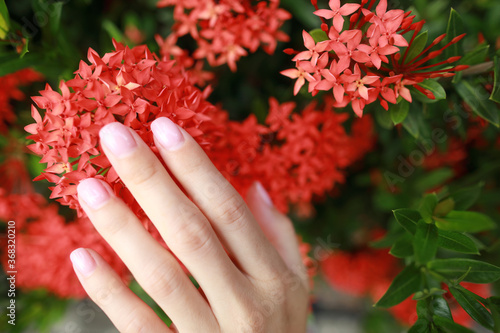 Creative photo of fashion female hands with clean skin and pink manicure hold flowers in hand on nature background.