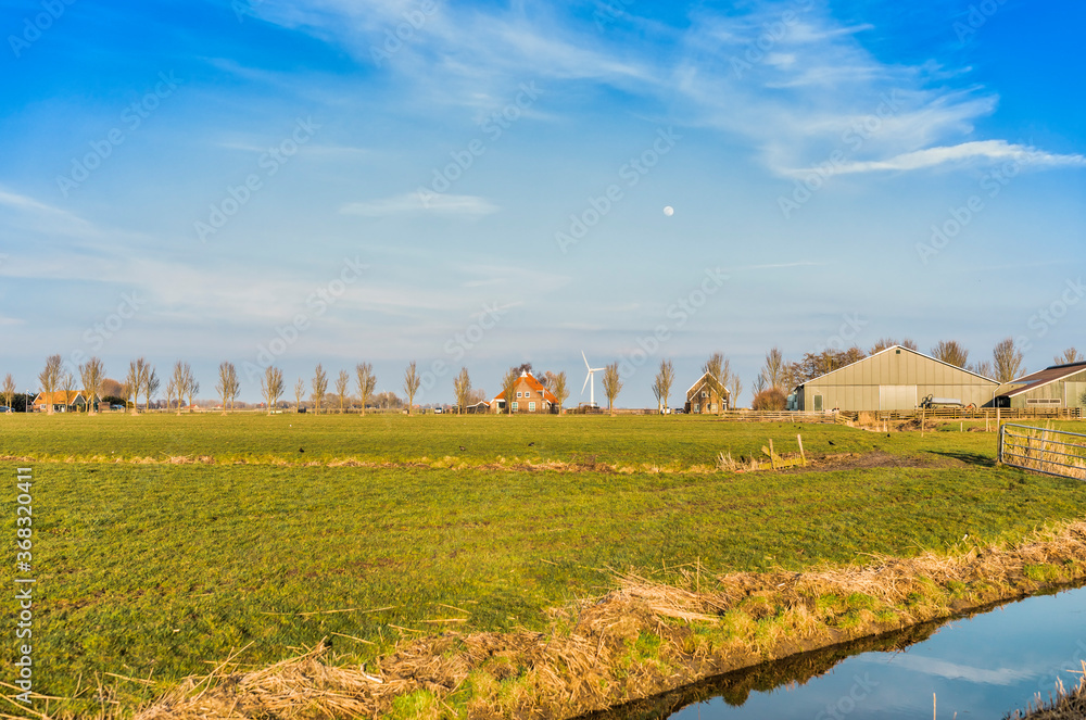 Canal, field and farmhouse in Hindeloopen, Netherlands, Europe