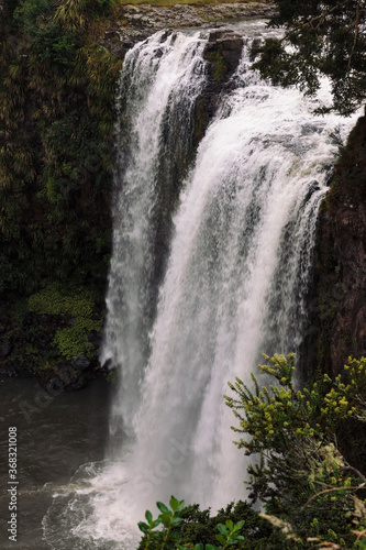 Whangarei Falls  New Zealand