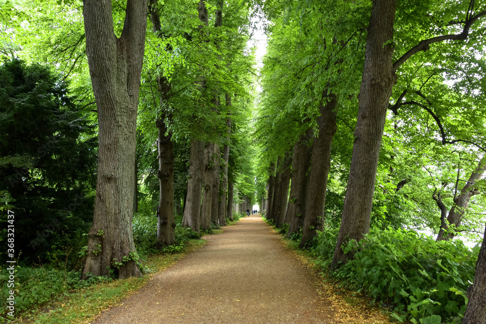 Allee beim Schloss Eutin, Schleswig-Holstein Allee beim Schloss Eutin, Schleswig-Holstein