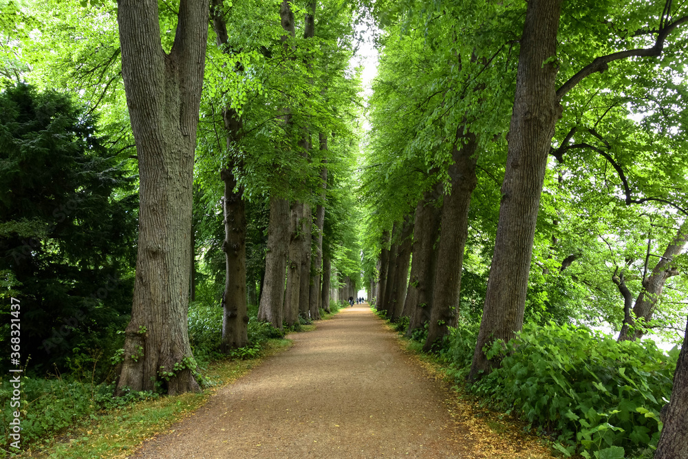 Allee beim Schloss Eutin, Schleswig-Holstein