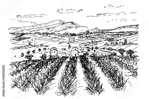 Black White Pen Sketch White Background Mountainous Landscape Provence Lavender fields, rural buildings among cypresses and olives, mountains. Isolated vector drawing.
