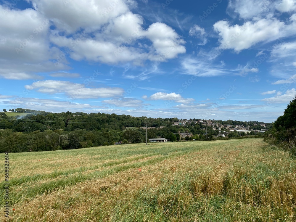 Looking across a wheat field toward Mirfield, with trees, farms and houses, in the distance Looking across a wheat field toward Mirfield, with trees, farms and houses, in the distance