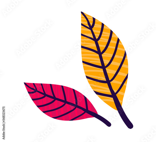 Orange leaf autumn, concept fallen leaflet from fall tree, single drawn sheet...