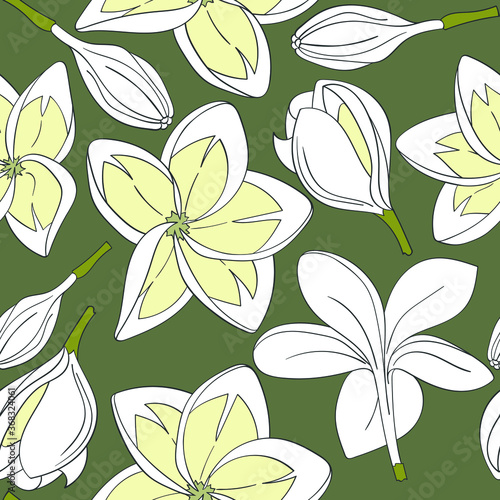 Seamless of flowers plumeria pattern on a green background. Tropical flowers. Vector illustration.