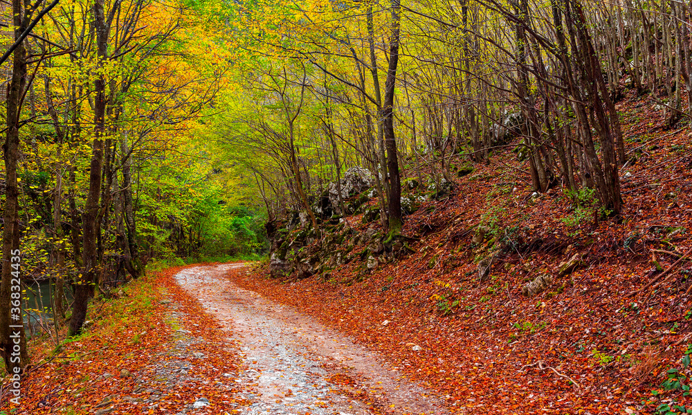 Naklejka premium Empty road