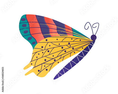 Wild wildlife forest butterfly isolated on white, icon cartoon vector illustr...
