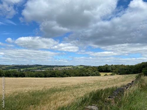Heavy cloud  over a wheat field  with dry stone walls  trees and houses on the horizon in  Mirfield  Yorkshire  UK