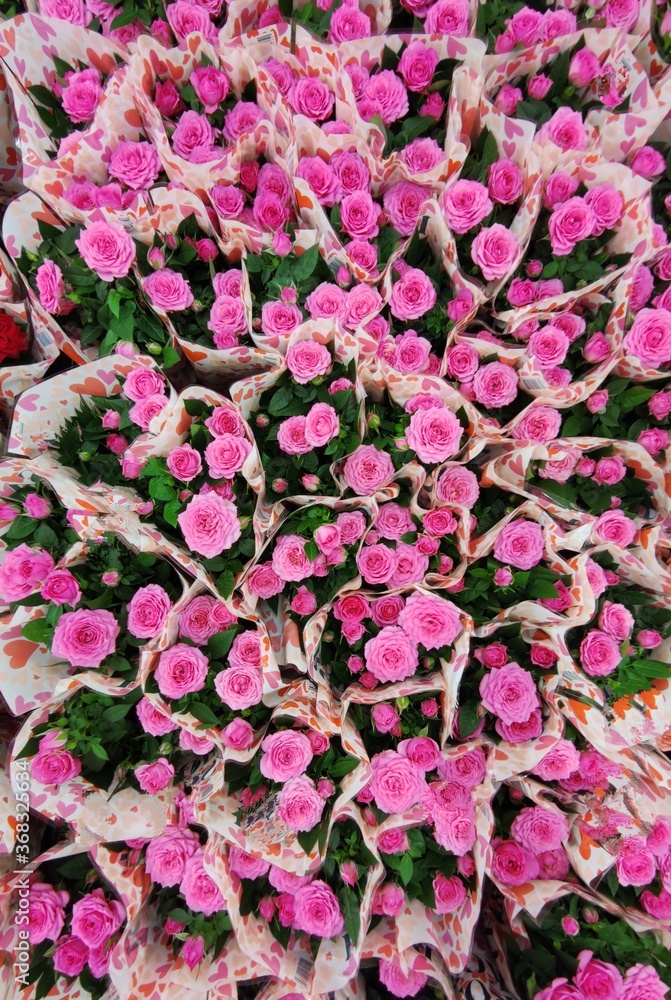Collection of pink rose bouquets. Flower background. Collection of pink rose bouquets. Flower background.