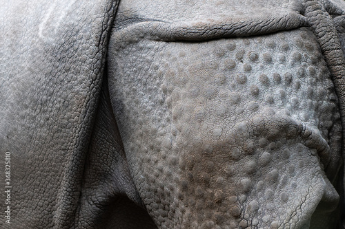 Skin of a rhinoceros