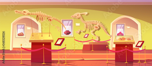 Museum of history with dinosaur skeletons, ancient insects in amber, clay pot and dino fossils. Artifacts at historical exhibition. Paleontology or archaeology science, Cartoon vector illustration © klyaksun