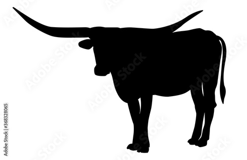 Texas Longhorn bull, cattle icon, on white background