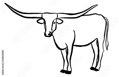 Texas Longhorn bull, cattle icon, on white background