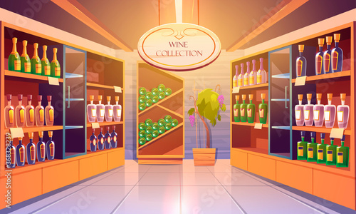 Wine shop, cellar interior with alcohol beverages collection, bottles on wooden shelves. Store in building basement with potted grapes vine, tiled floor and glow lamps. Cartoon vector illustration
