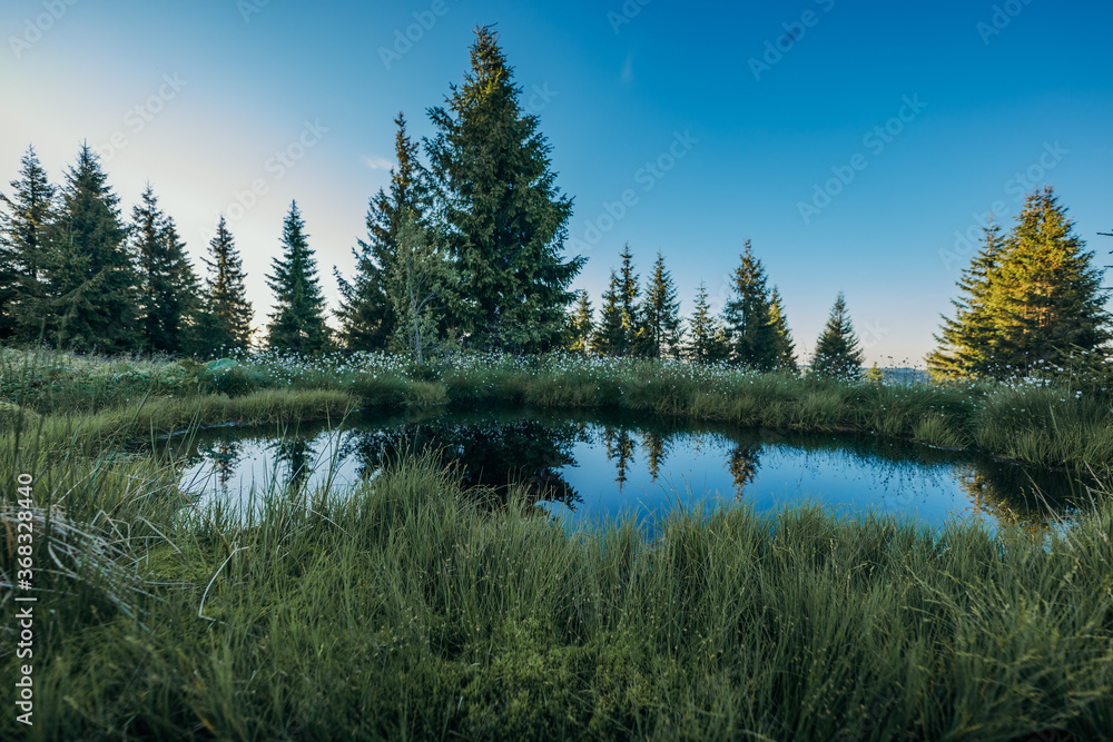 A flock of birds standing on top of a grass covered field A flock of birds standing on top of a grass covered field