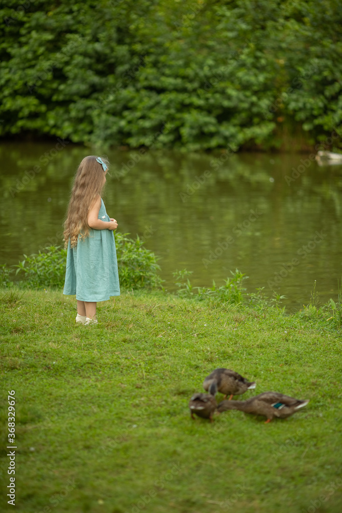 A little girl is feeding ducks on the lawn now. Image with selective focus.