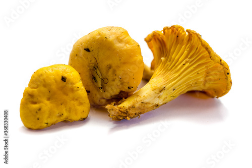 Chanterelles isolated on white background