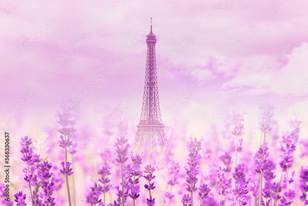 Untypical view of Eiffel Tower in paris with lavender flowers, summer landscape, space for text