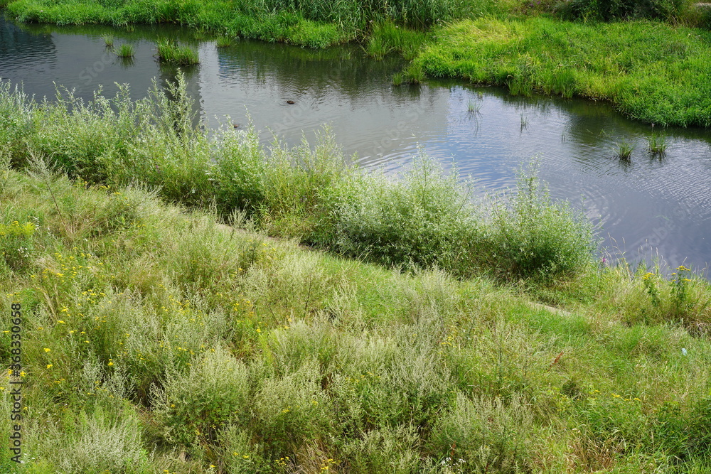 Sonnige, grüne Flusslandschaft mit Enten in Poznan Sonnige, grüne Flusslandschaft mit Enten in Poznan