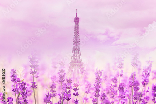 Untypical view of Eiffel Tower in paris with lavender flowers, summer landscape, space for text © Savvapanf Photo ©