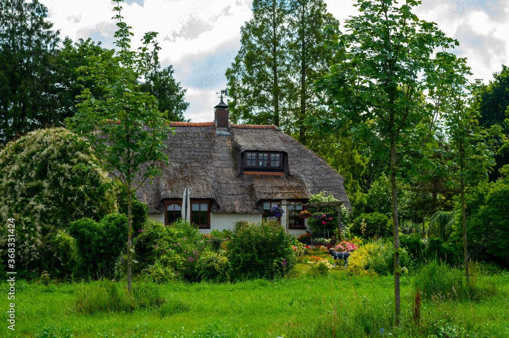 Summer landscape with farm house in Gelderland, Netherlands