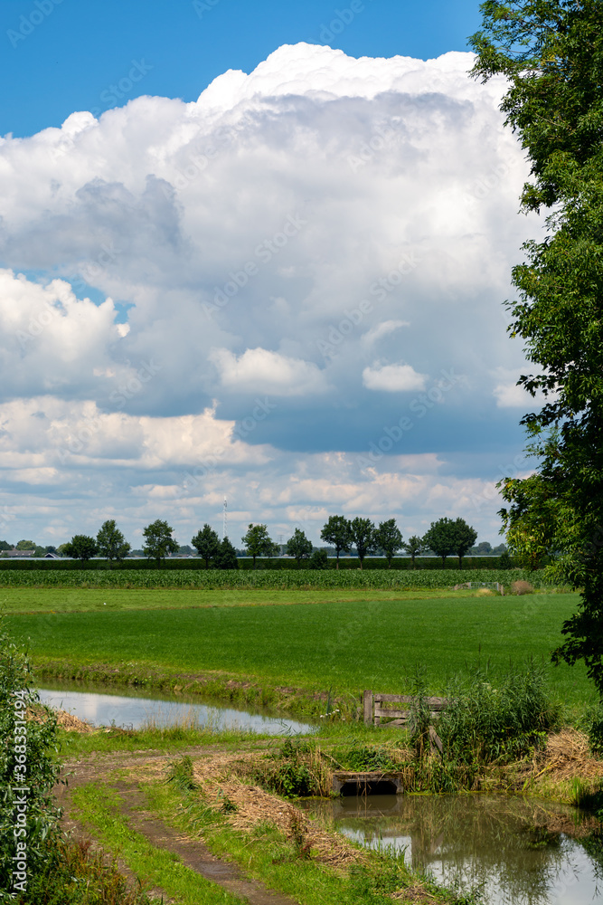 Dutch green landscape in summer in fruit region Betuwe, Gelderland Dutch green landscape in summer in fruit region Betuwe, Gelderland