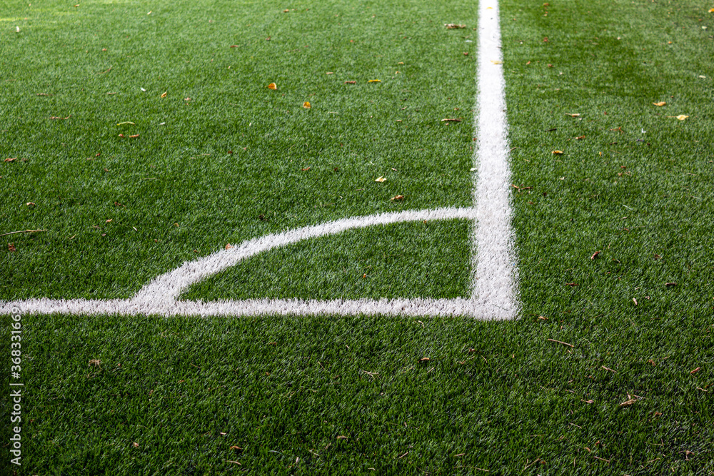 Corner of a soccer field in an stadium. Markings Of A Football Field. Playing sports field, corner kick. Autumn leaves are lying on the grass. Middle position.